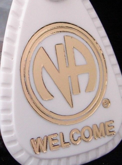 NARCOTICS ANONYMOUS NA White Welcome KEY TAG Just For Today Token