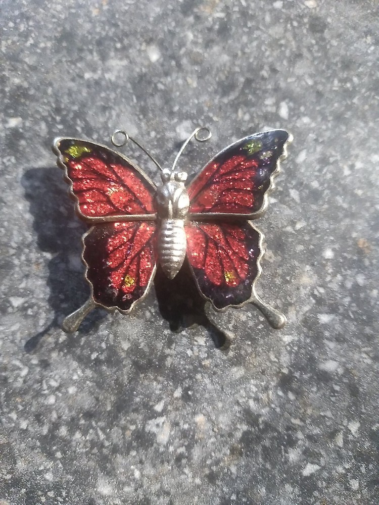 Small Magnetic Butterfly
