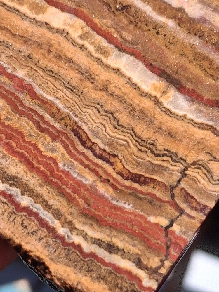 Banded Onyx Lapidary Specimen