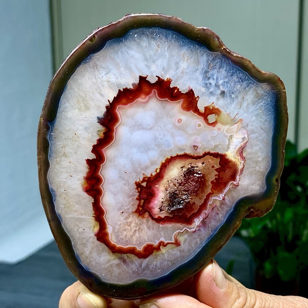 287G Natural Beautiful Agate Geode Druzy Slice Extra Large Gemstone
