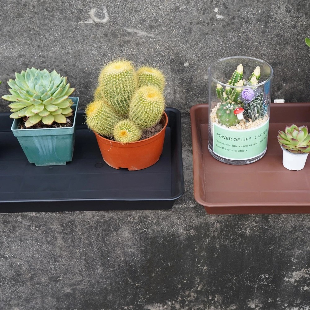 Plant Saucer Growing Tray Seed Starter Rectangular Heavy Sturdy Plastic Drainage