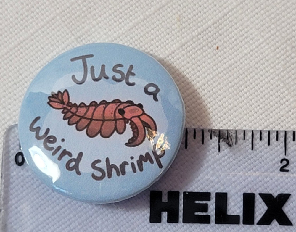 Anomalocaris Precambrian shrimp pin