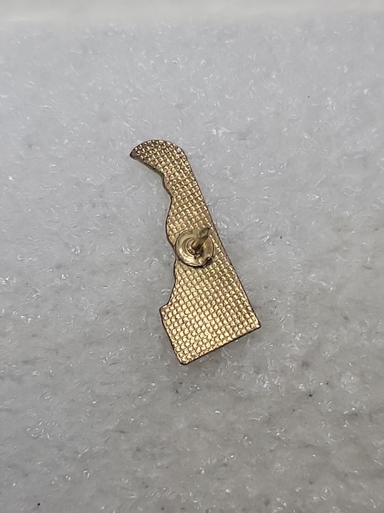 Delaware Enamel State Map Dover Wilmington Lapel Pin