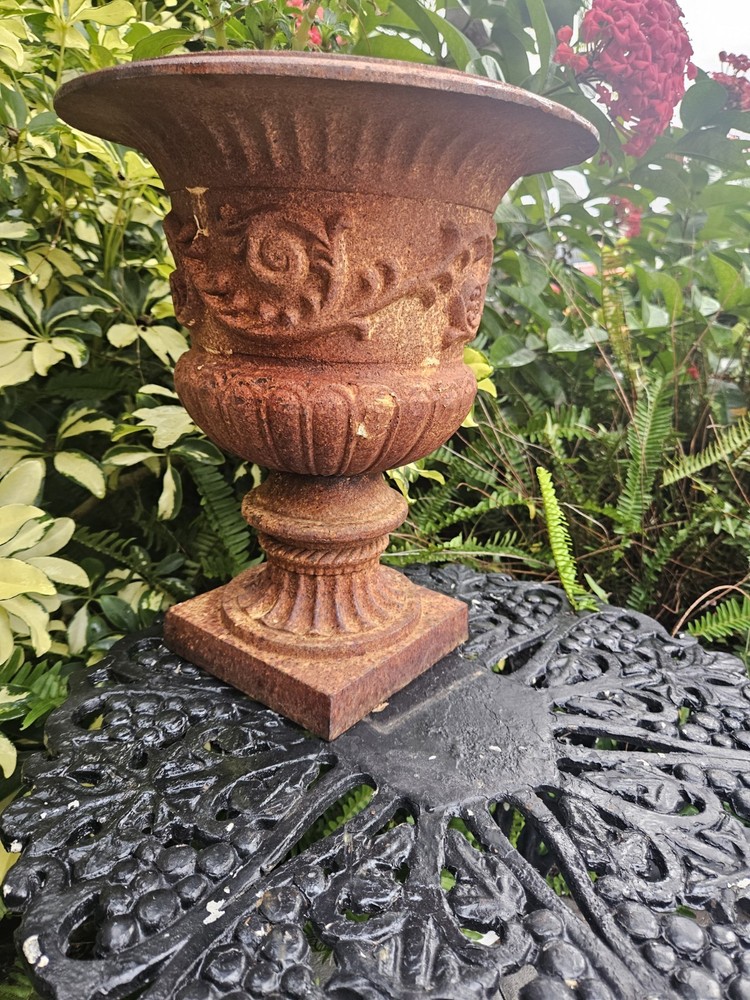 cast iron urn planter