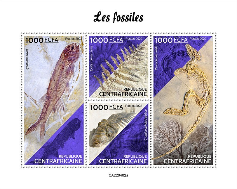Fossils