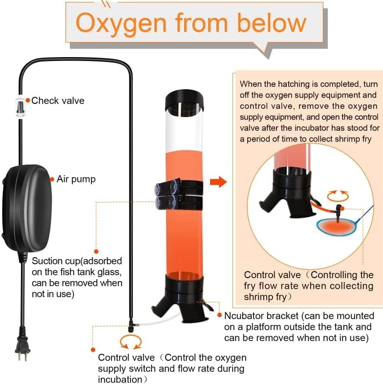 Elegant Brine Shrimp Hatchery with Visible Hatching Process & Multipurpose Tools