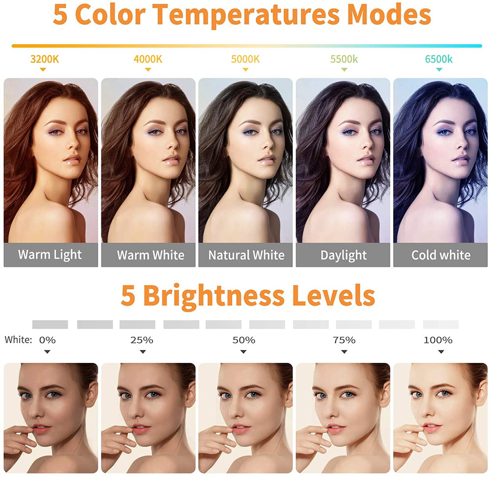 Video Conference Lighting Kit, Ring Light with 5 Dimmable Color