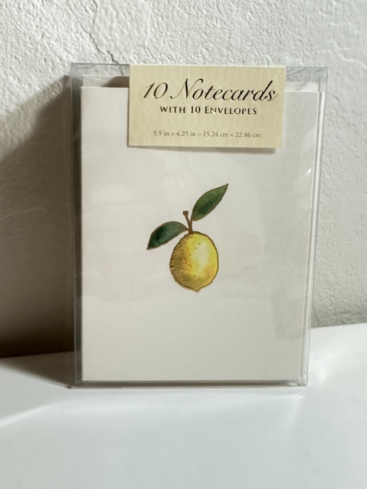 PUNCH STUDIO | REX & MOLLY 10 Notecards & 10 Envelopes