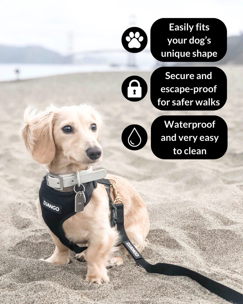 NWT Django Adventure Dog Harness