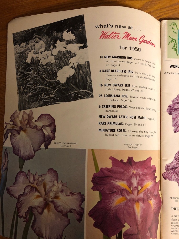 1959 Walter Marx Gardens Boring Oregon Mail Order Catalog