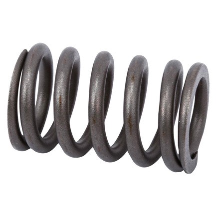 Engine Valve Spring ACDelco 12565199