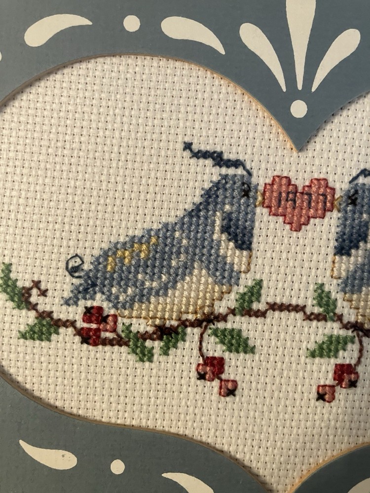 Flaw Scratch On Frame Dates 1977 Completed Cross Stitch Birds