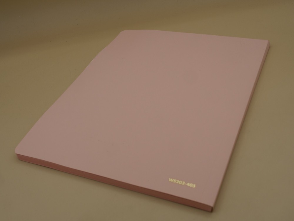 AT-A-GLANCE TAKE NOTE NOTEBOOK