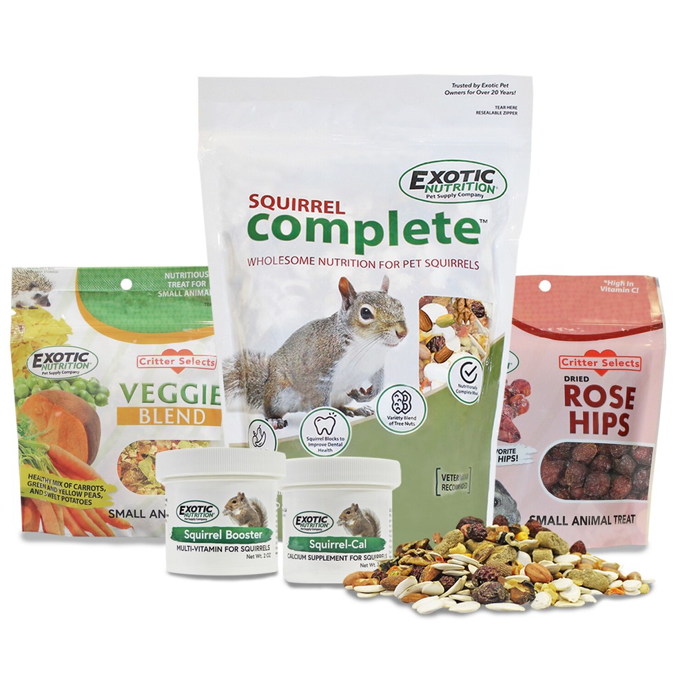 Squirrel Food Starter Package