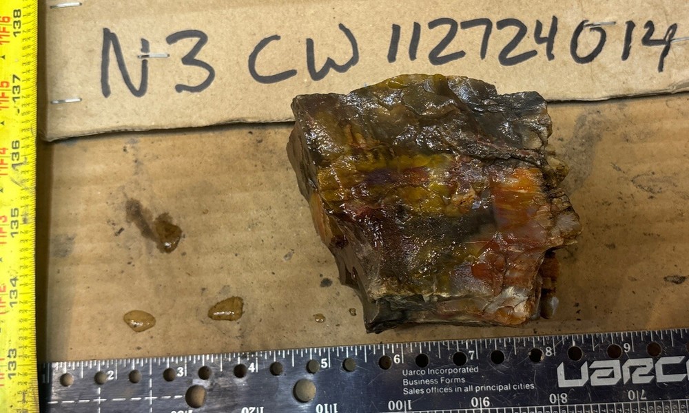 Colorful petrified wood