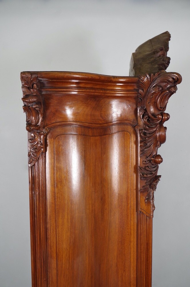 Louis XV Rocaille 1900 Style Bookcase