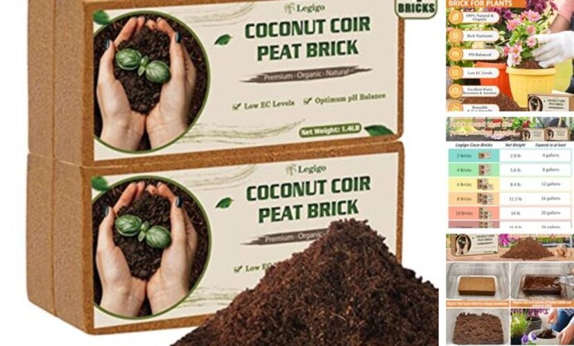 4 Pack Premium Coco Coir Brick for Plants- 100% Organic Compressed Pack of 4