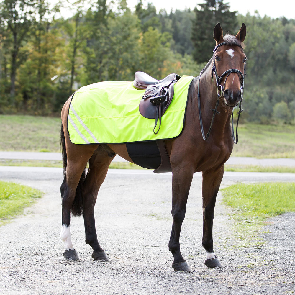 CP2411 Reflective Mesh Horse Blanket NEW