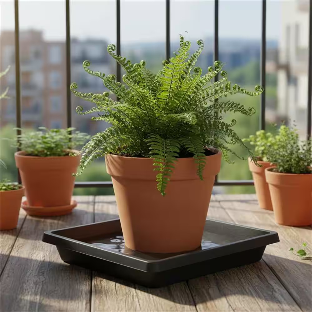 2 Pack Plastic Square Plant Saucer