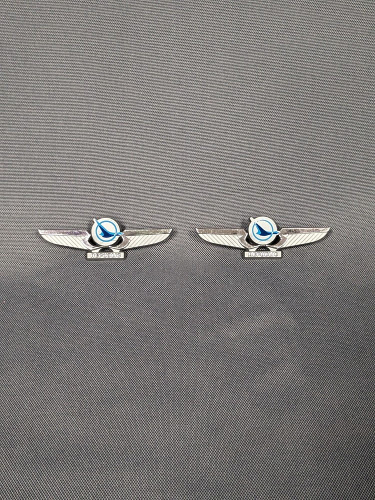 REPUBLIC AIRLINES Vintage Pin