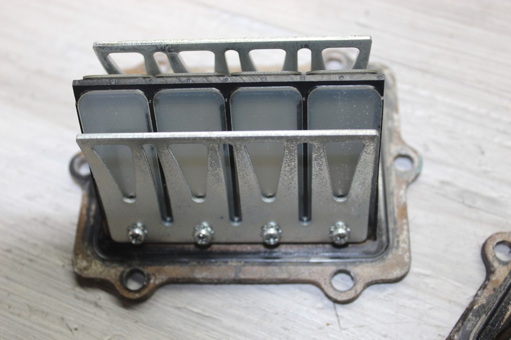 2000 Polaris Rmk 500 Reed Block Set Pair