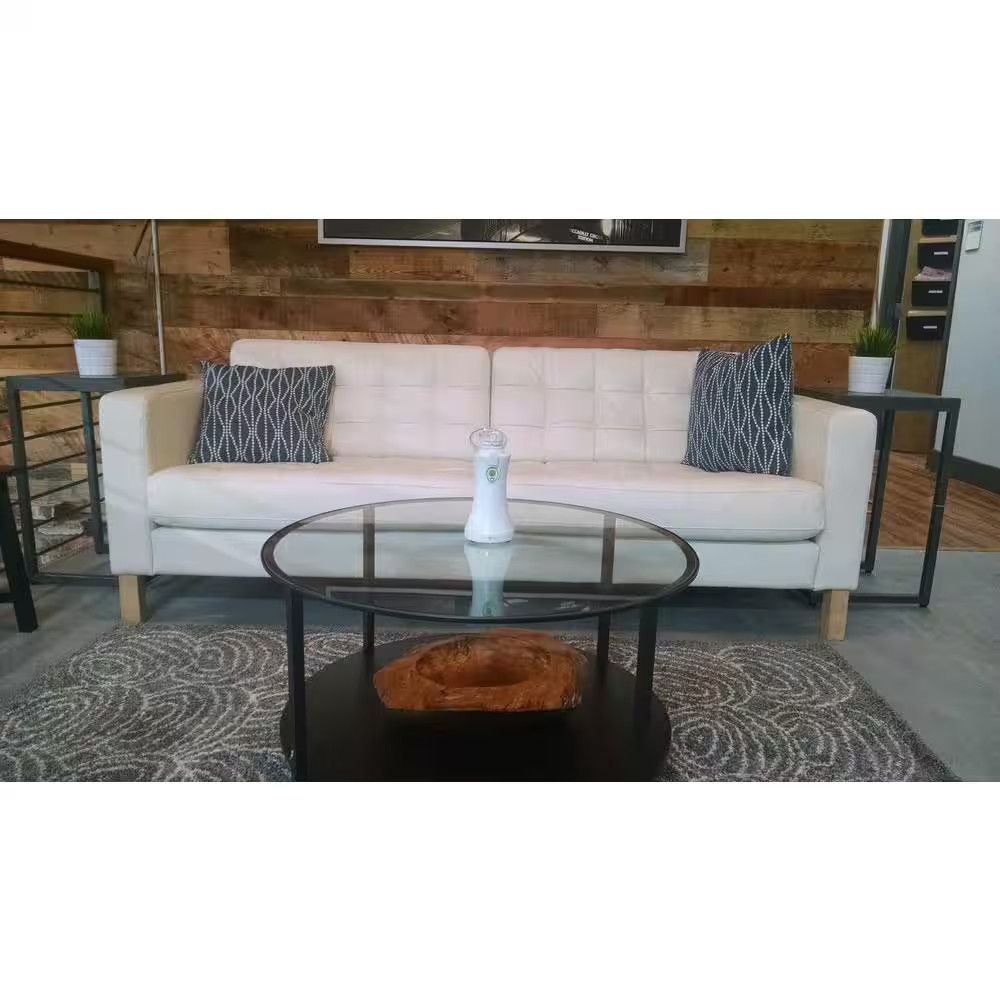 1-Room Mold Test Kit