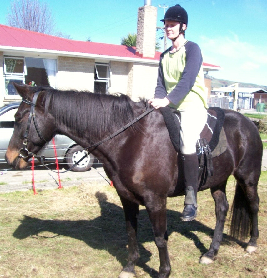 Bare Back Riding Pad with Removable Stirrups from Pet Lovers NZ (Hack Size)