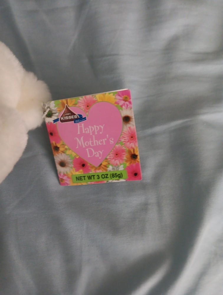 Hersheys Happy Mothers Day Bear