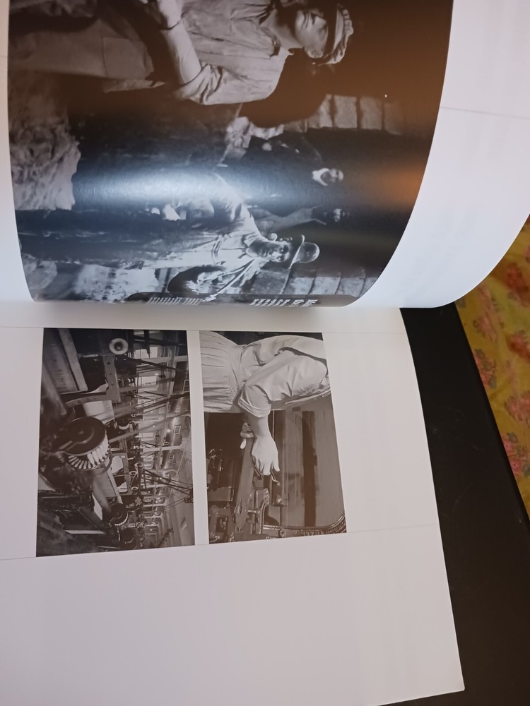 All That is Solid: An Installation By Deborah Bright art exhibition catalog