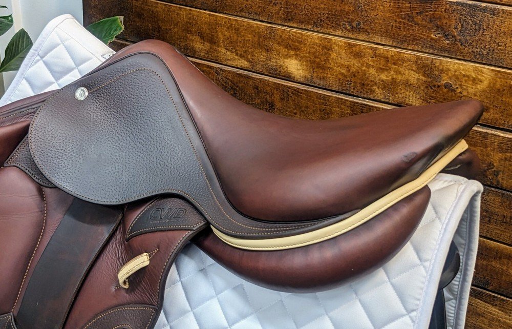 17.5" CWD SE12 2A (2019) *Forward Flaps*