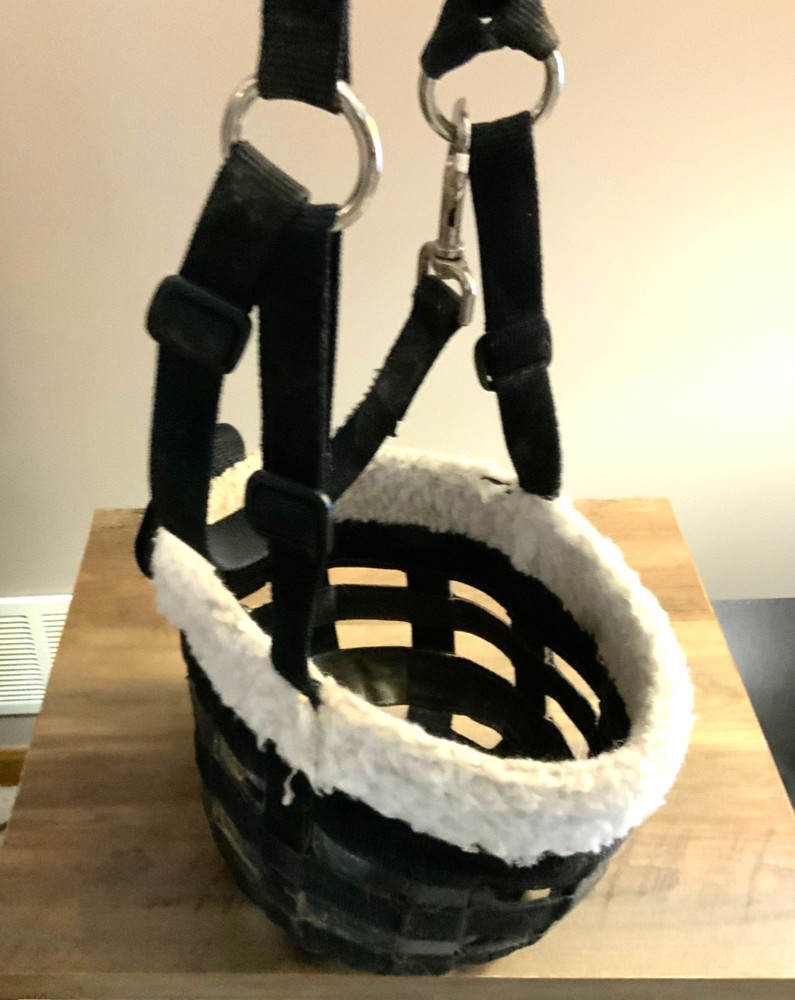 horse gear- grazing muzzle. “Large”
