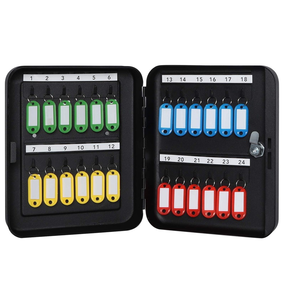 Parrency Key Cabinet Wall Mount,Locking Organizer, Medium, Black