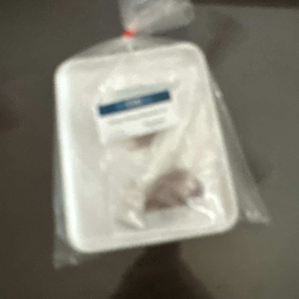 Sheep Kidney Dissection Kit