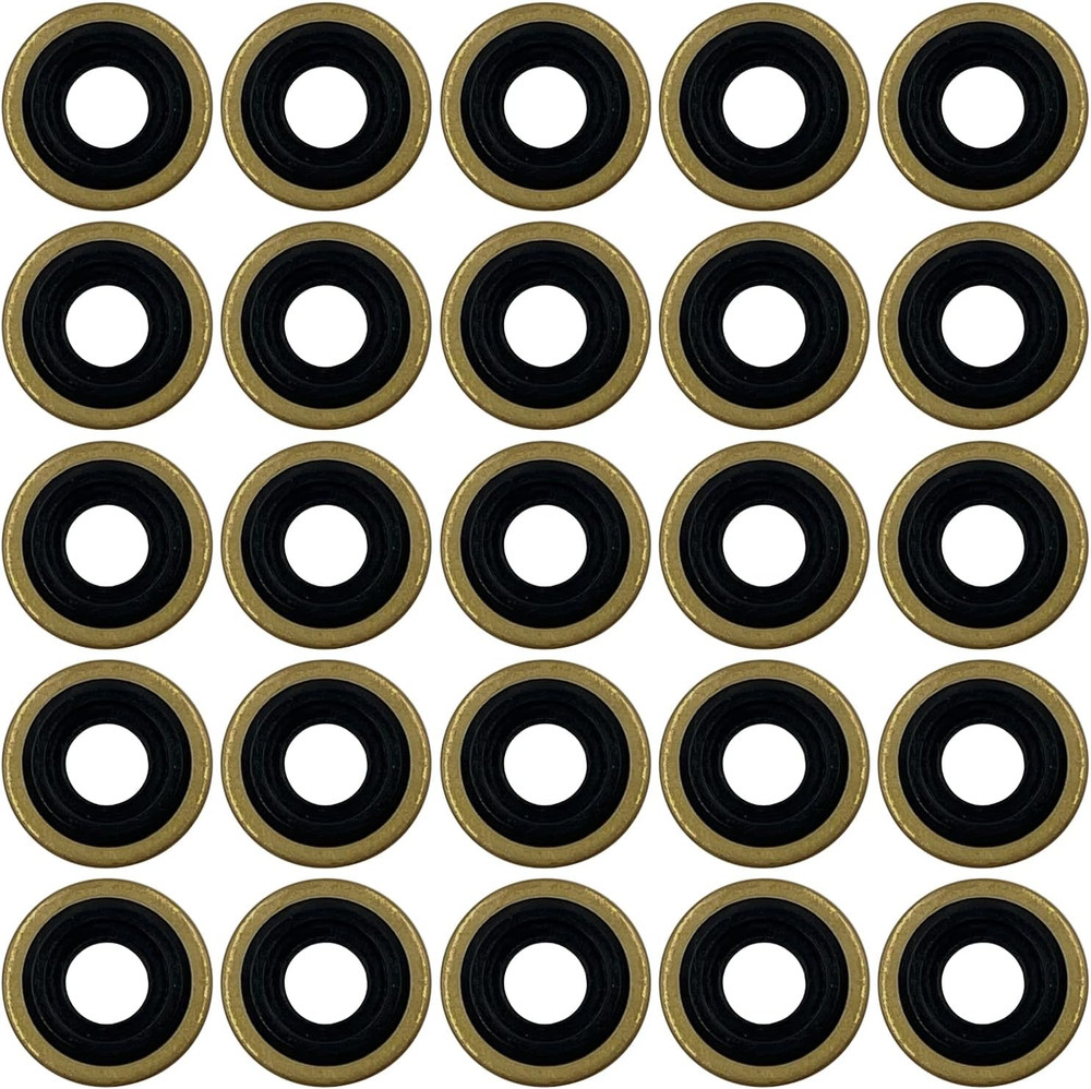 25Pk Oxygen Regulator Yoke Washer Seals