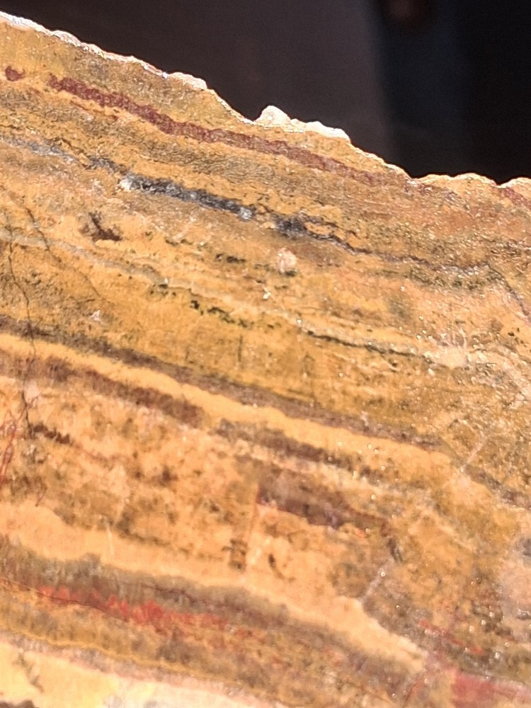 Banded Onyx Lapidary Specimen