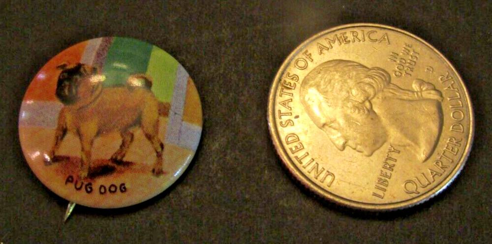 VTG 1930s PUG DOG Pinback Button