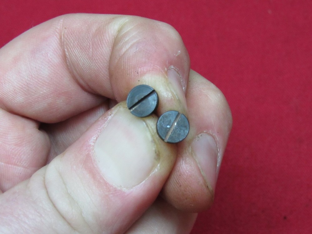 Smith & Wesson Escort Grip Screws