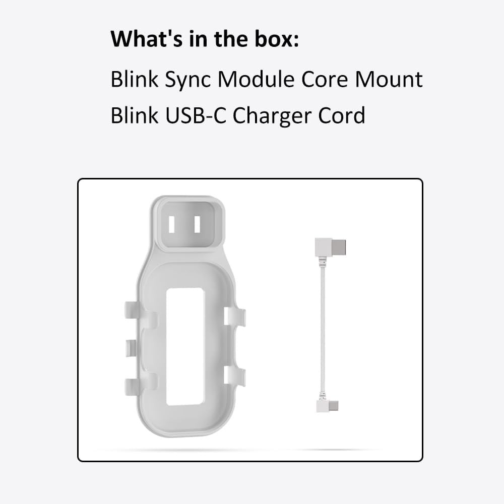 Secure Blink Sync Module Core Mount with USB-C Cable - Clutter-Free Solution