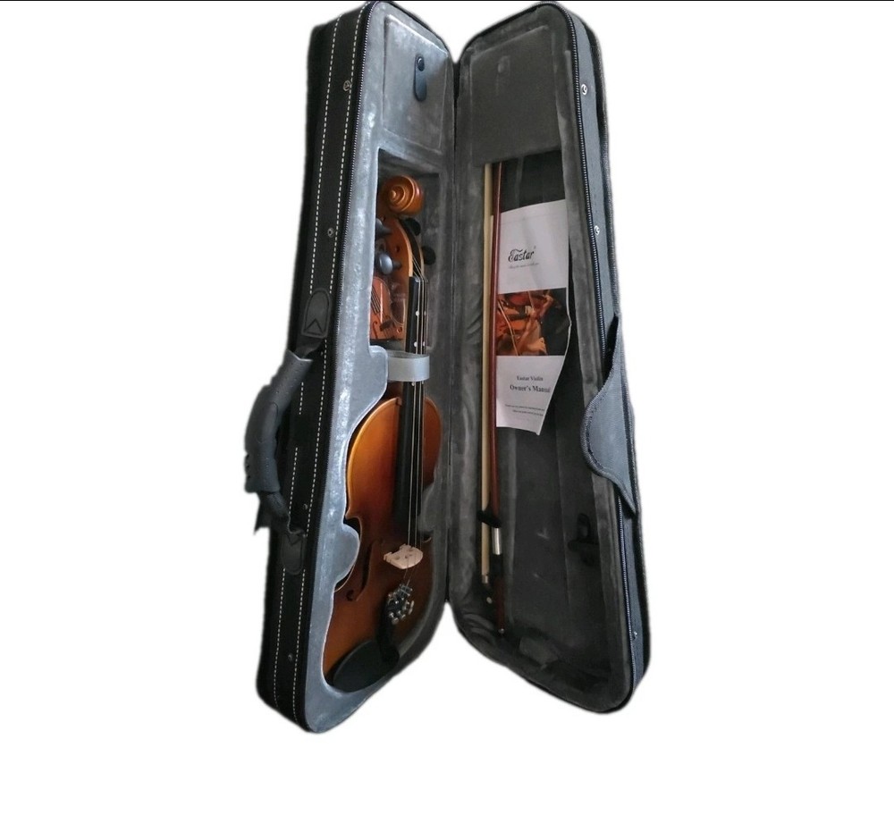 Violin