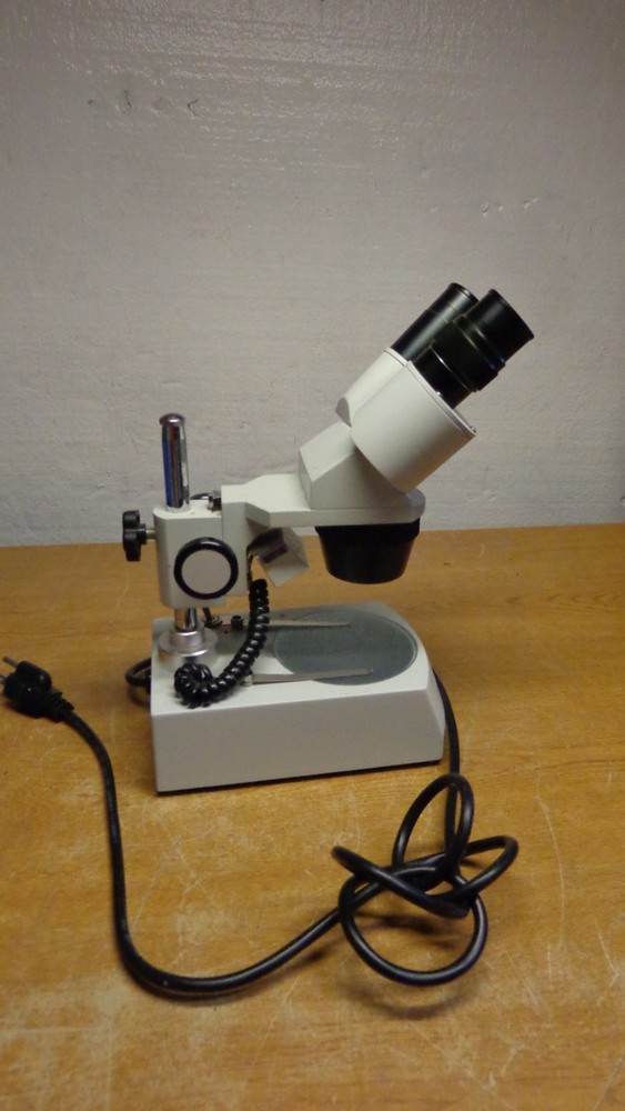 Fisher Science Education Microscope S90013A