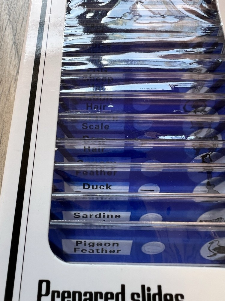 Prepared Slides Educational Type 12 Kinds