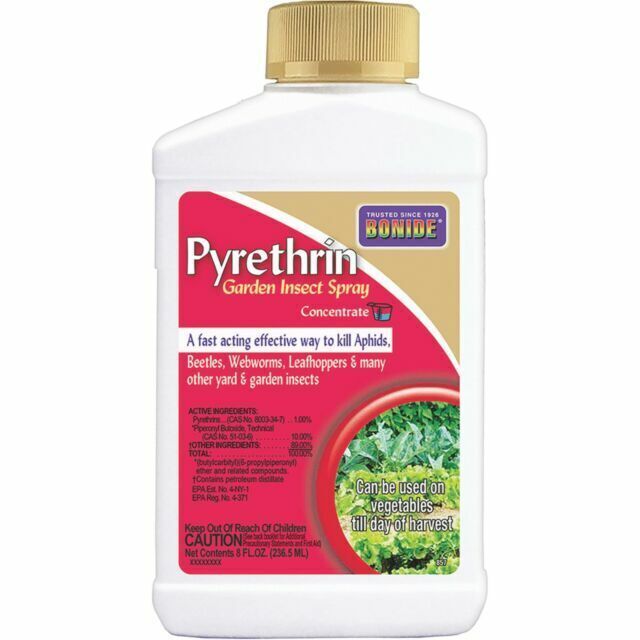 Bonide Pyrethrin Garden Spray Concentrate 8oz (857)