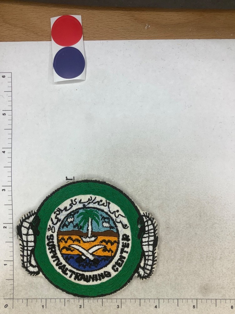 THEATER MADE SURVIVAL TRAINING CENTER PATCH