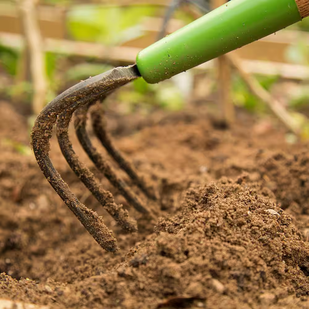 4-Tine Forged Cultivator