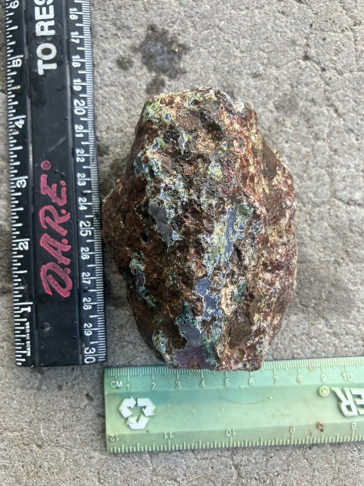 Laguna Agate Specimen (Rough)