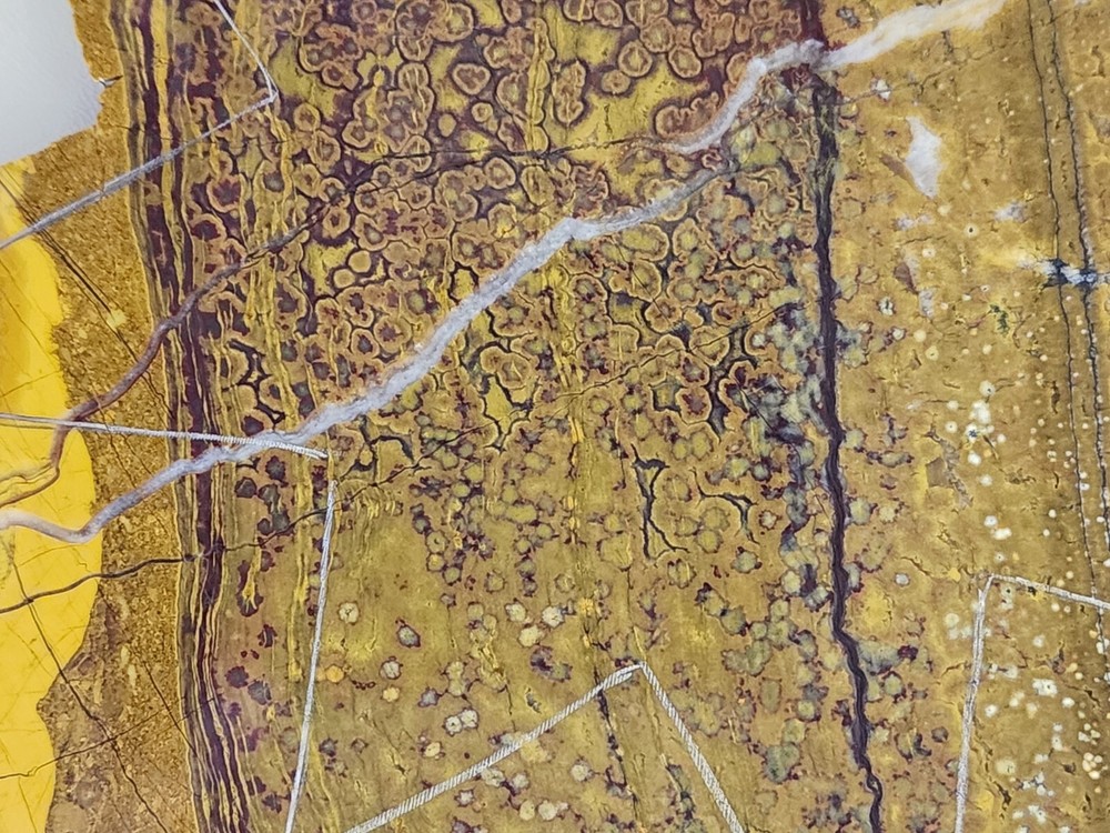 Orbicular Jasper Large Lapidary Slab