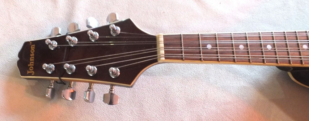 Nice Johnson Oval Hole Mandolin Model MA-100