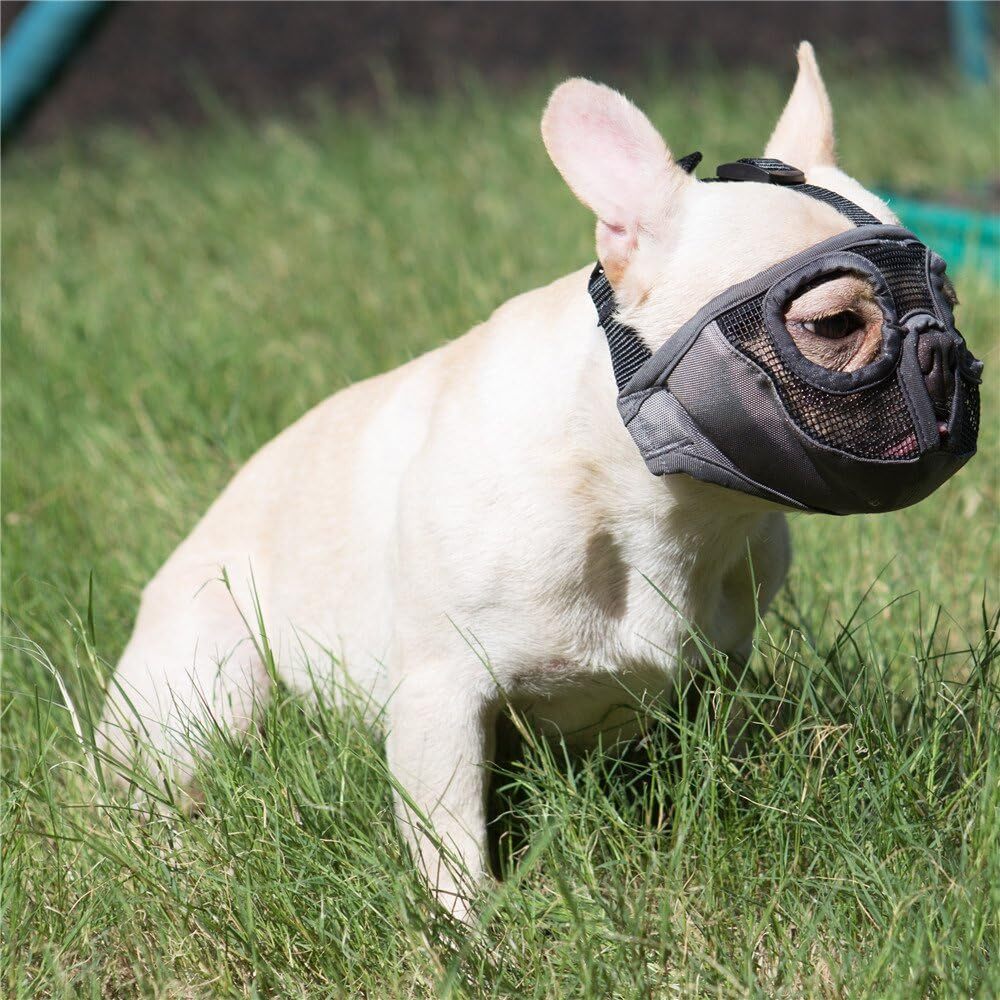JYHY Short Snout Dog Muzzle- Adjustable Breathable Mesh Bulldog Muzzle for
