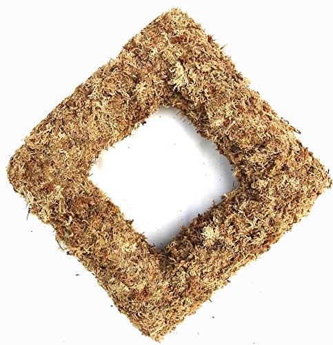 9" Living Wreath Sphagnum Moss Square Form Complete