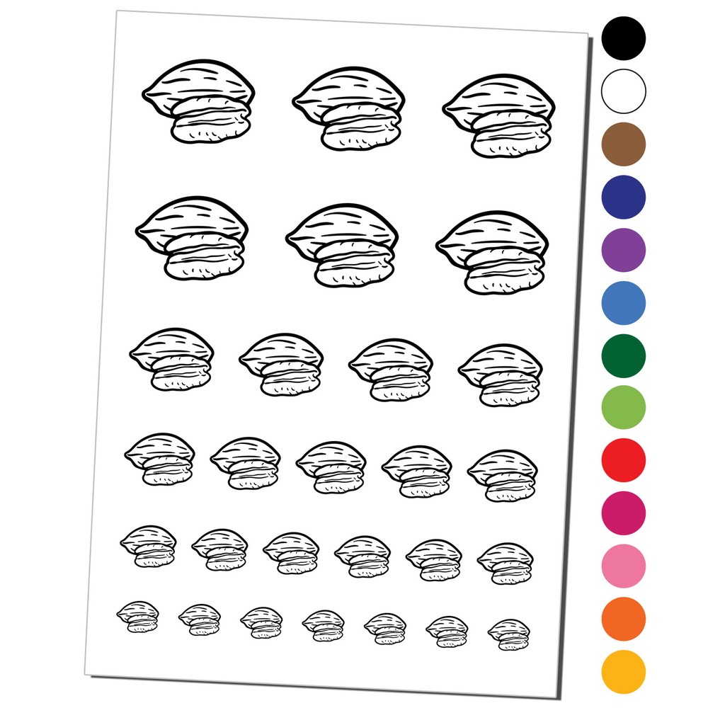 Pecan Nut Drawing Temporary Tattoo Water Resistant Set
